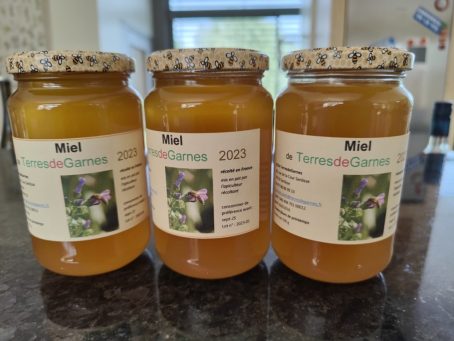 Miel d'été TerresdeGarnes 500g