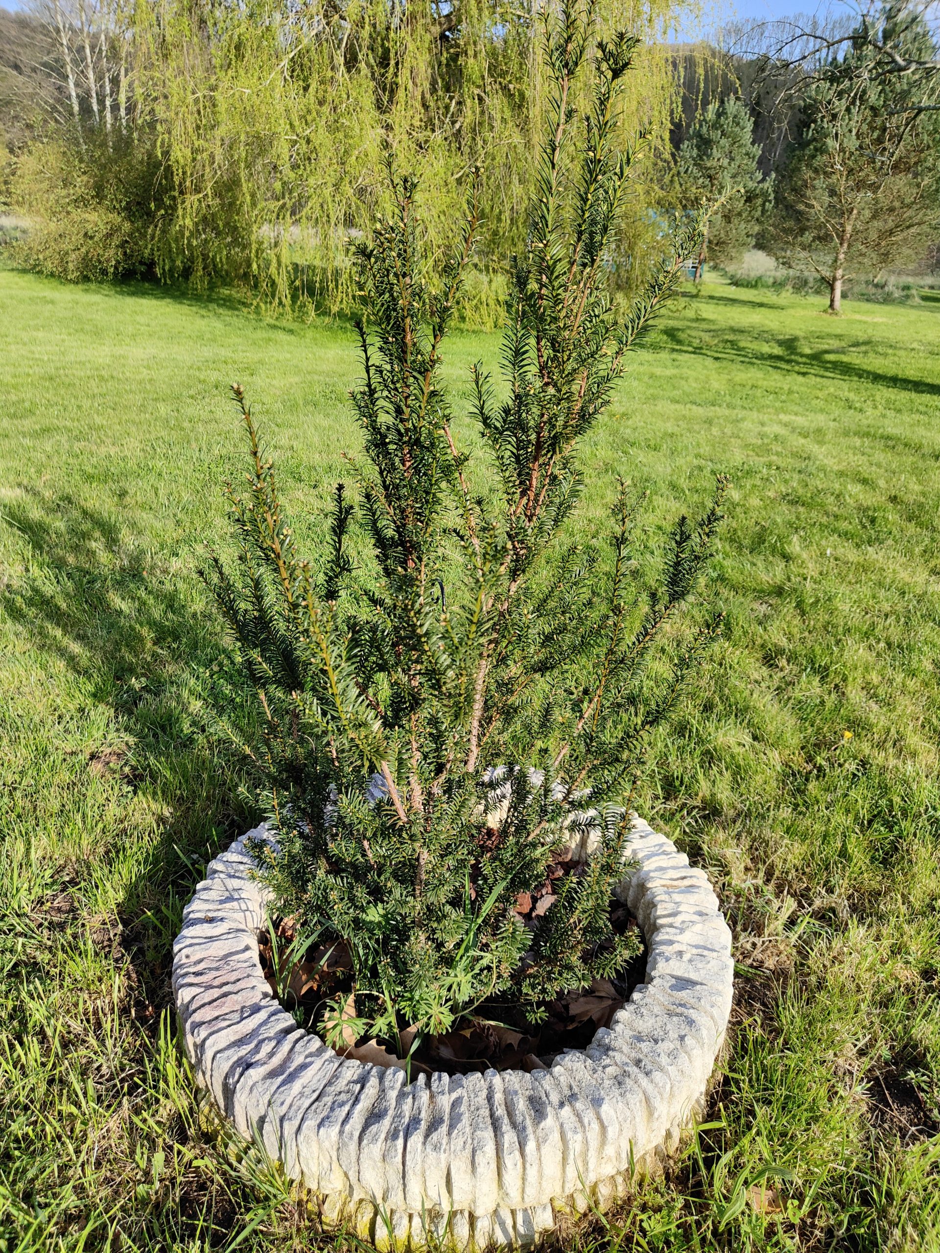 Boitier BAMBOO Personnalisé "If"