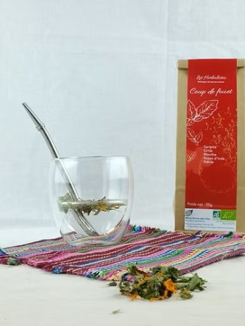 Tisane « Coup de fouet »